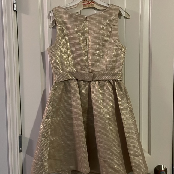 Sparkly Gold Dress - Picture 4 of 5